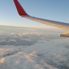 Назар Нидза, 25.07.1986, Wien