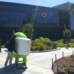 Жавлон Мамаджанов, Chicago