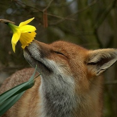 Оксана Бейзель, 15.05, Санкт-Петербург