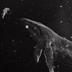 Саша Романова, 01.06, Киев