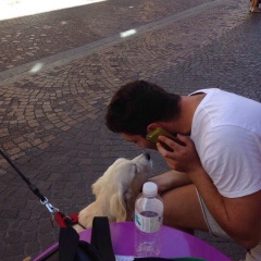 Aram Amirkhanyan, 30.08.1986, Los Angeles