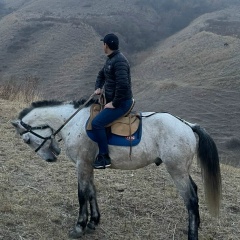 Алан Хаким, 22.08