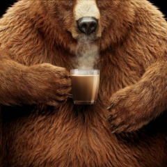 Александр Шаблий, Санкт-Петербург