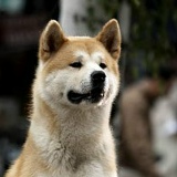 Sergey Sol, Москва