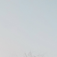 Чаяна Кызыл-Оол, 21.10, Шагонар