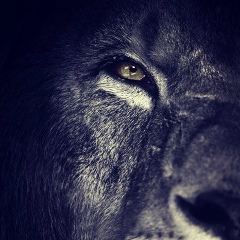 Эльдар Бапинаев, 22.08, Москва