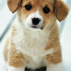 Ренаточка Ренатовна, 12.09.2004