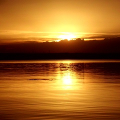 Ирина Катионова, 27.09.1979, Алматы