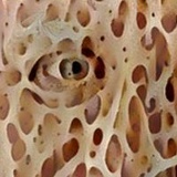 Асушный Добродушник, 02.06.1988, Екатеринбург