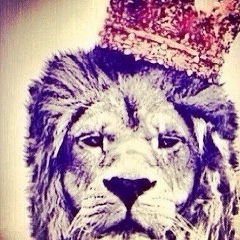 Аслан Урусов, 23.07