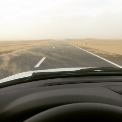 Шамиль Даудов, Санкт-Петербург