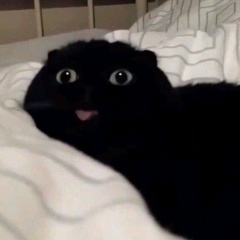 Адиль Мырзахметов, 04.08.1998, Алматы