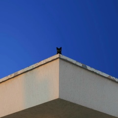 Иван Васецкий, 01.01.1966, Ош