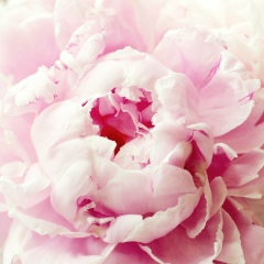 Юлия Райцына, 24.03.1981, Санкт-Петербург