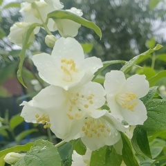 Ольга Рагозина, 30.11, Санкт-Петербург