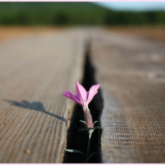 Назерке Шабанбаева, 16.01, Алматы