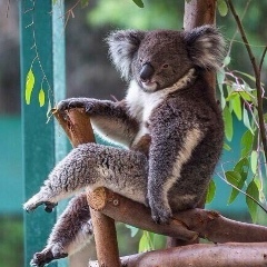 Марина Боженко, 14.04.1980, Киев