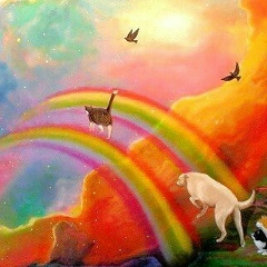 Марина Янкельзон, 09.03, Ульяновск