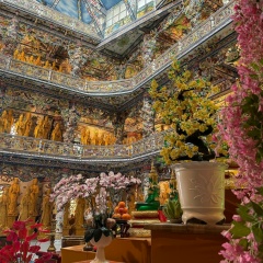 Afina Pallada, 07.11