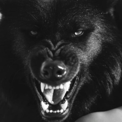 Нури Бабаев, 20.07, Москва