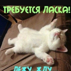 Жавлон Махмудов, 24.08.1996, Шымкент