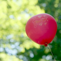 Антон Макаров, 11.03.1987, Санкт-Петербург