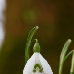 Ольга Несытова, 31.05, Новочебоксарск