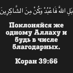 Khd Askh, 13.05, Урус-Мартан