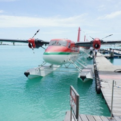 Андрей , 22.07.1984, Санкт-Петербург