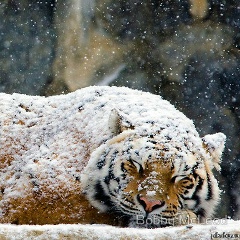 Ермахан Асылхан, 10.04