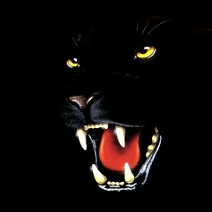 Nur Seisenbaev, 10.11.1993, Актау