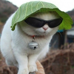 Галина Шилоносова, 10.01