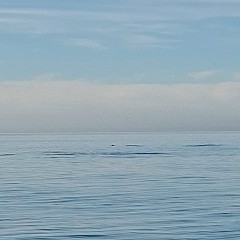 Евгений Бабиков, Челябинск