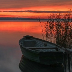 Яковлев Владислав, 14.11