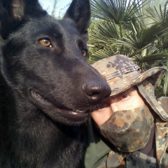 Андрей Меркулов, 01.10.1978