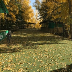 Moldir Biyazova, 04.09.1986, Актобе