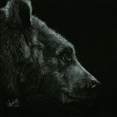 Дмитрий Малов, 11.12.1984, Чебоксары