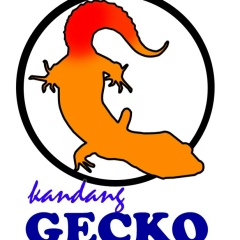 Inoe Starr, 01.01.1988