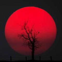 Christina Grinch, 28.02