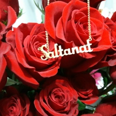 Салтанат Бердибаева, 03.07