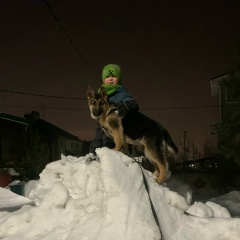 Рустам Халиуллин, 04.06.1986, Набережные Челны