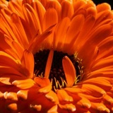 Надежда Шевчук, 04.07.1986