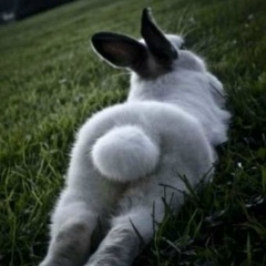 Мария Новожилова, 12.06, Санкт-Петербург