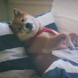 Алена Фуст, 18.03.1990, Челябинск