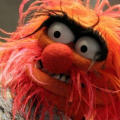 Александр Бельский, 30.06.1981, Нижний Новгород