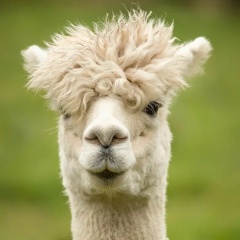 Денис Воробей, 15.08.1987