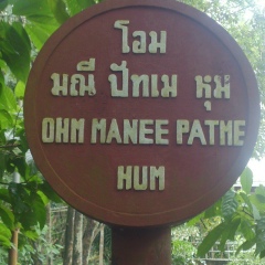 Денис Жигин, 31.10, Москва