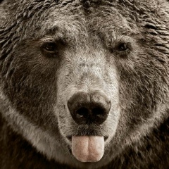 Павел Паршин, 12.10.1984, Электросталь