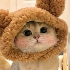 Malika Aman, 29.07, Алматы