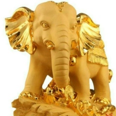 Hero Man, 30.12.1995